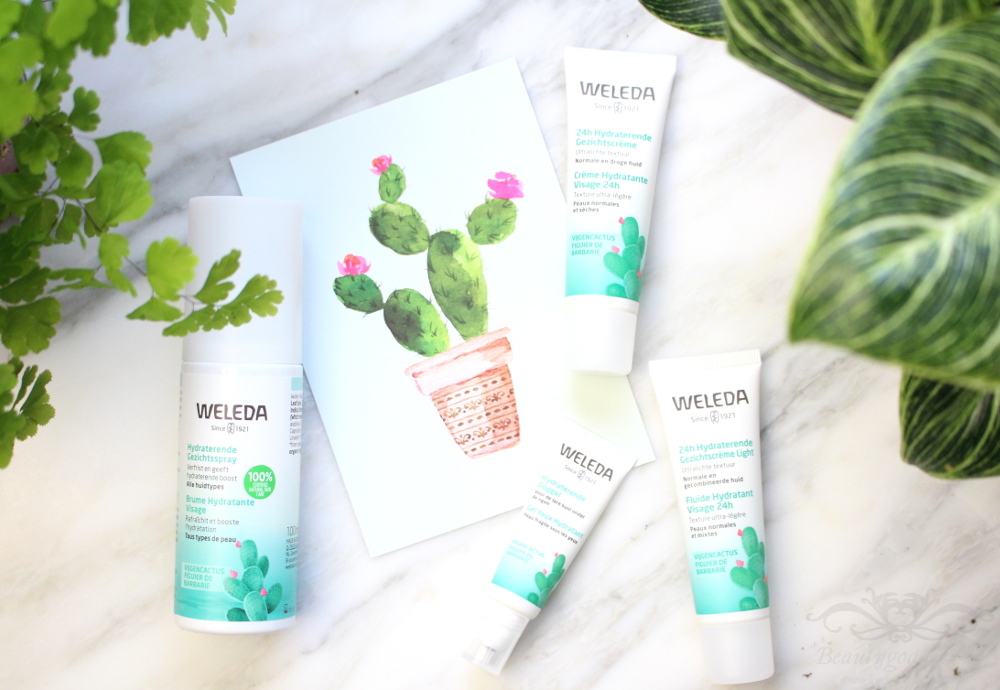 Impressionisme Fonkeling Beide Weleda hydraterende gezichtsverzorging met biologische vijgencactus én win!  – beautygoddess