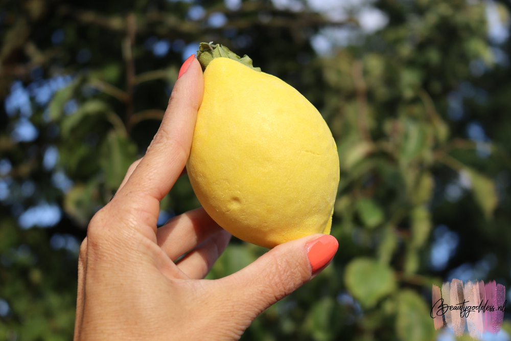 Lush Lemon Crumble Bubbleroon