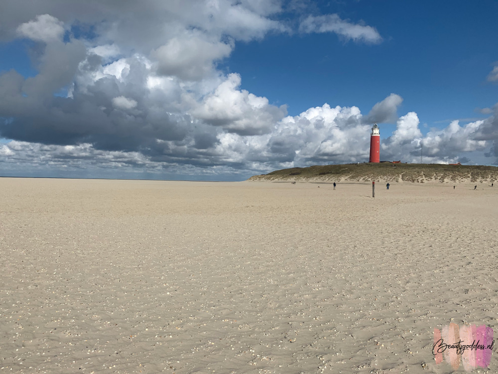 Texel