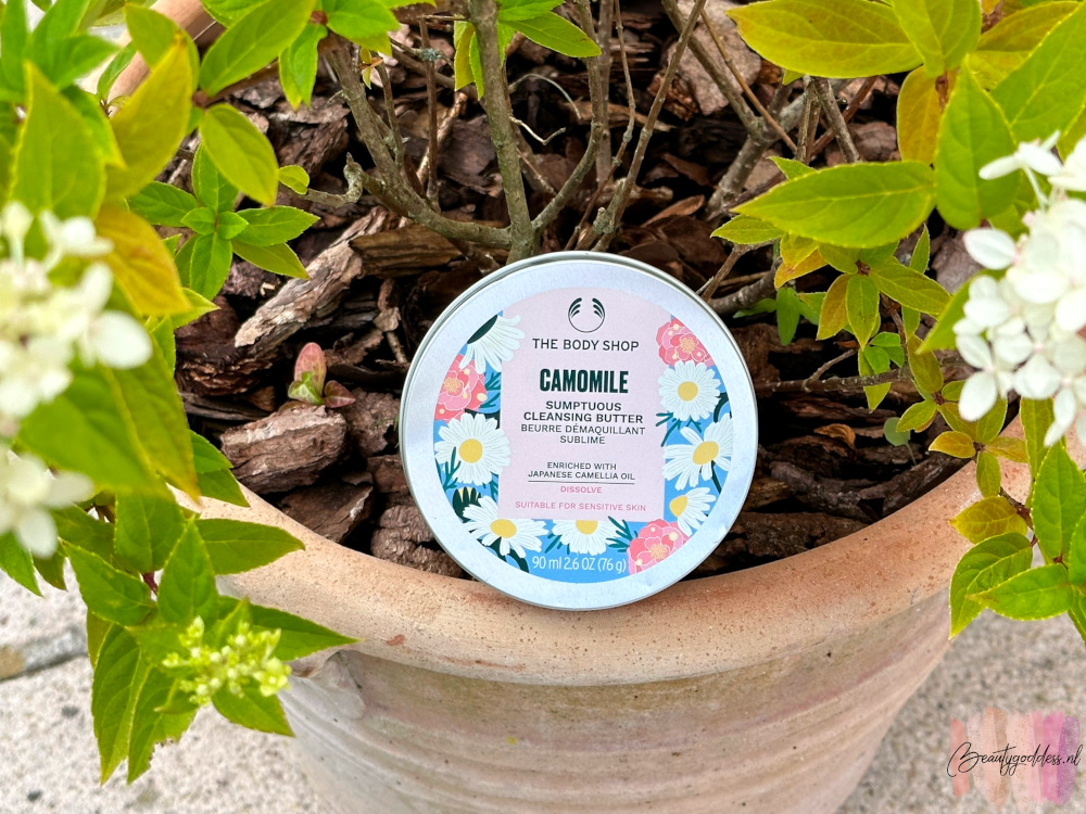 Camomile Sumptuous Cleansing Butter – Camellia Limited Edition