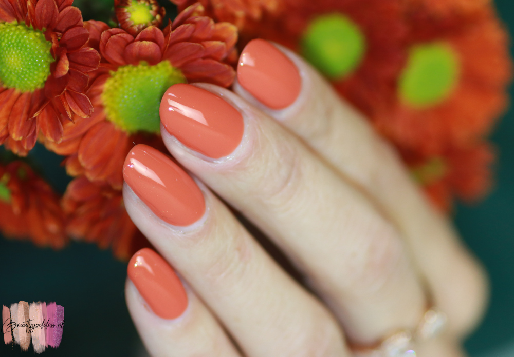 Pink Gellac Terra Orange